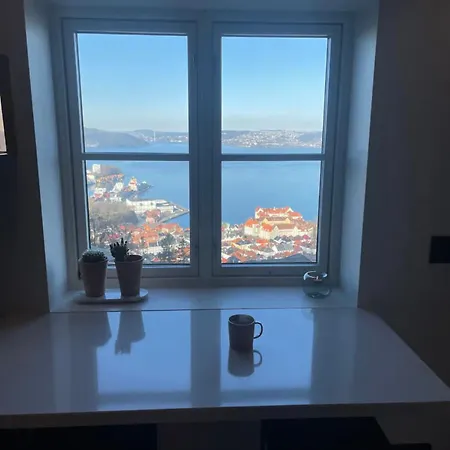 Unique With Fantastic Views 卑爾根